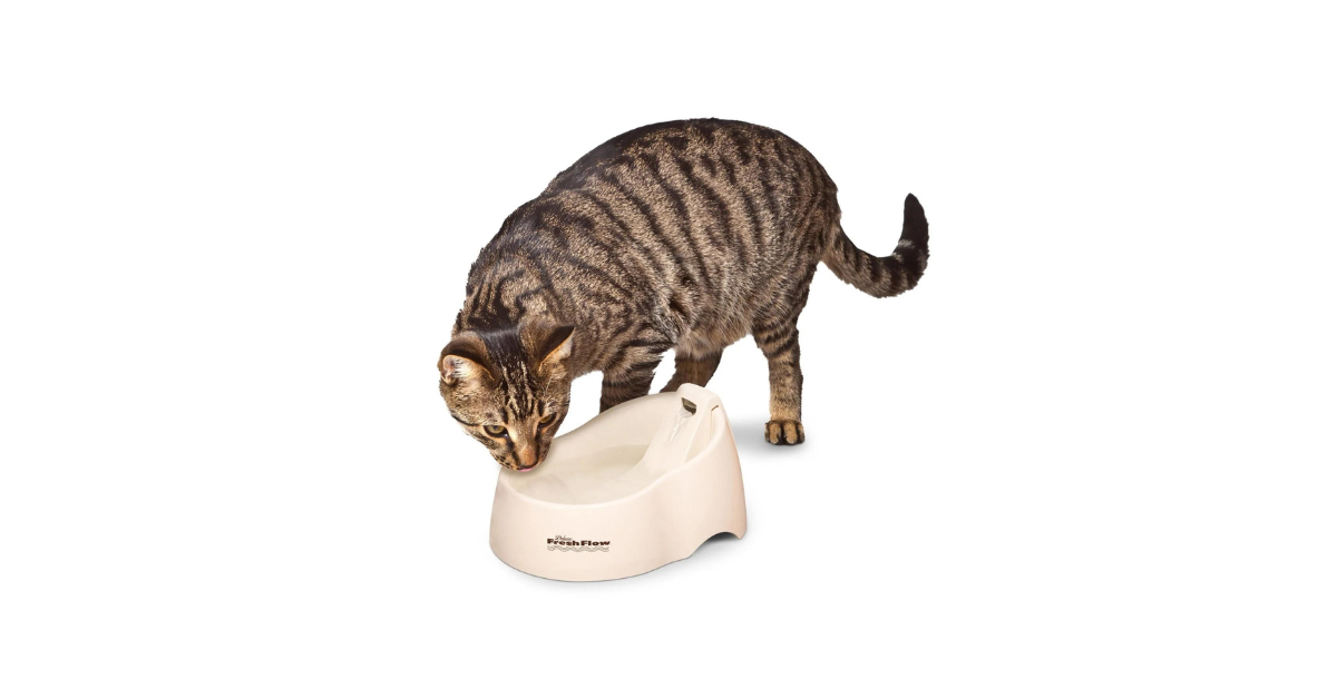 A brown tabby drinks out of the Pet-mates Deluxe Fresh Flow Fountain For Cats in the color Bleach Linen.