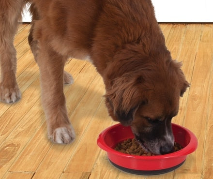 A dog eating out of a red plastic Pet-mates food bowl