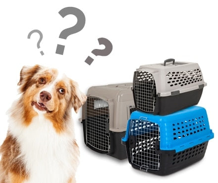 A dog next to a collection of Pet-mates plastic kennels