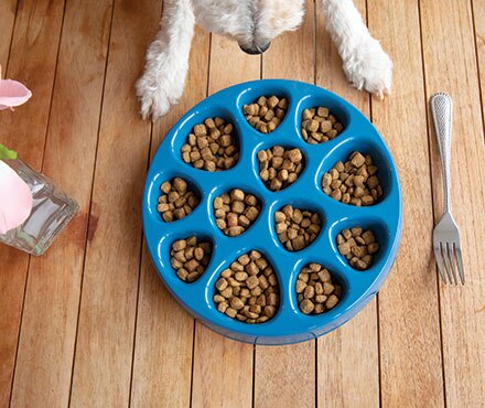 5 Reasons Why I Use Pet-mates's Kibble Cup Slow Feed Bowl & Why You Should Too