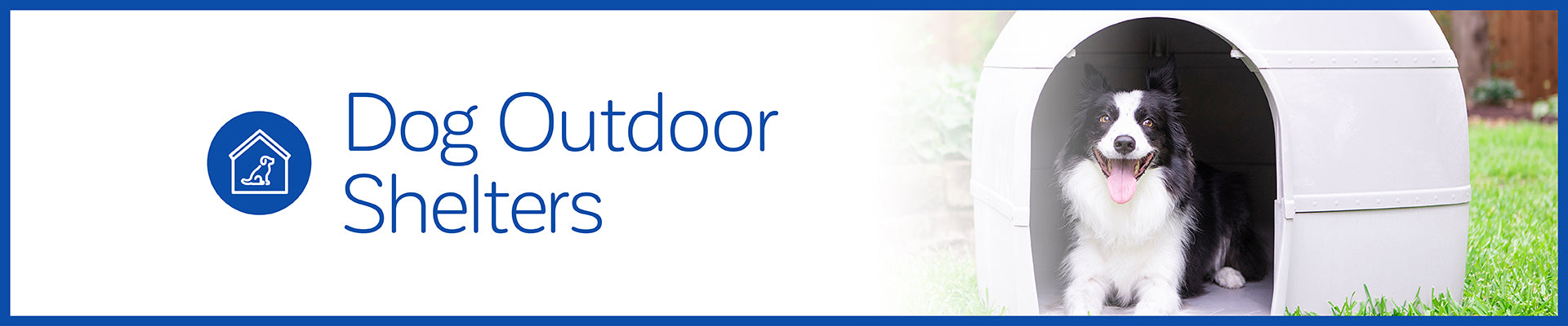 Dog Shelters