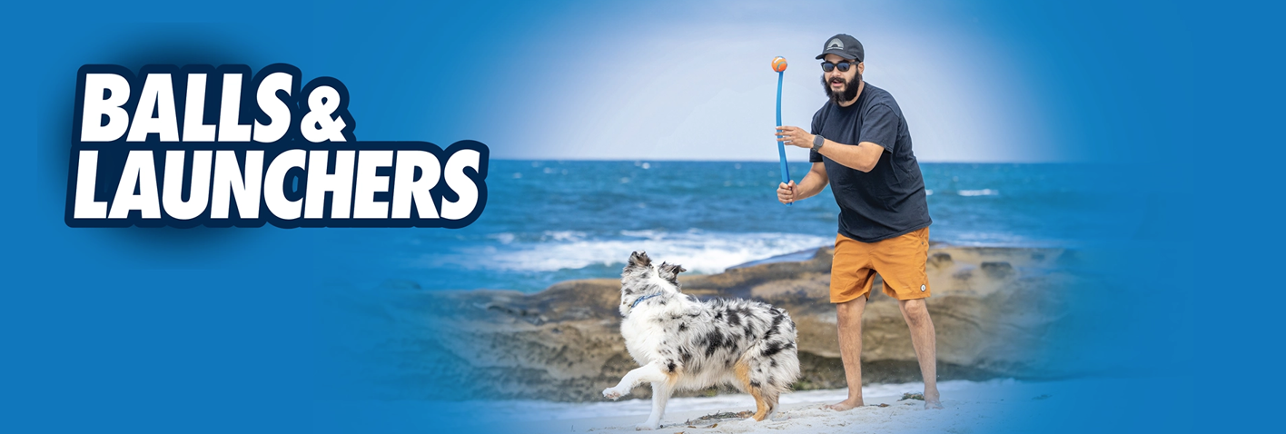 A man on a beach is playing fetch with a dog using a ball launcher. The background shows the ocean and rocks, with the text Balls & Launchers prominently displayed on the left.