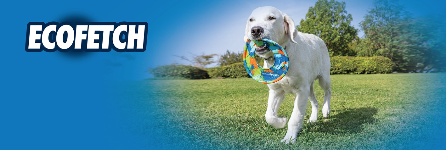 Golden retriever running on grass with a colorful fabric ring toy in its mouth. The word ECOFETCH appears in bold white letters on a blue background to the left.