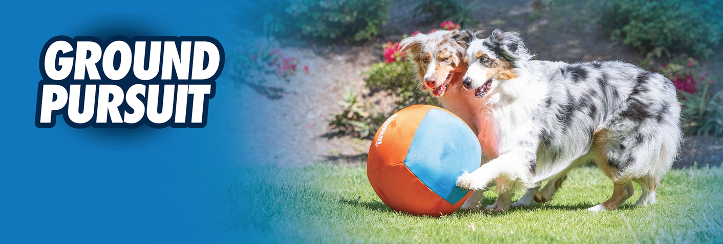 Two dogs play with a large orange and blue ball on grass. Bright flowers and greenery are in the background. The text Ground Pursuit is on the left.