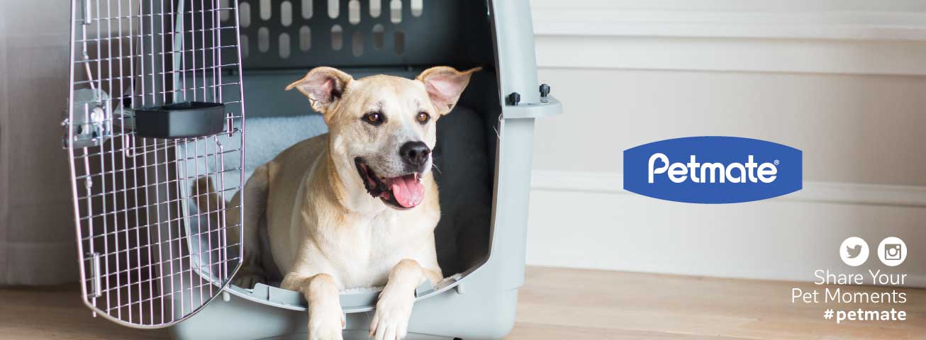 Infographic titled A Pet-mates Kennel for Every Pet, showing four kennel types—sky, traveler, e-z load, and all purpose—with icons listing their features and suitable uses for pets.