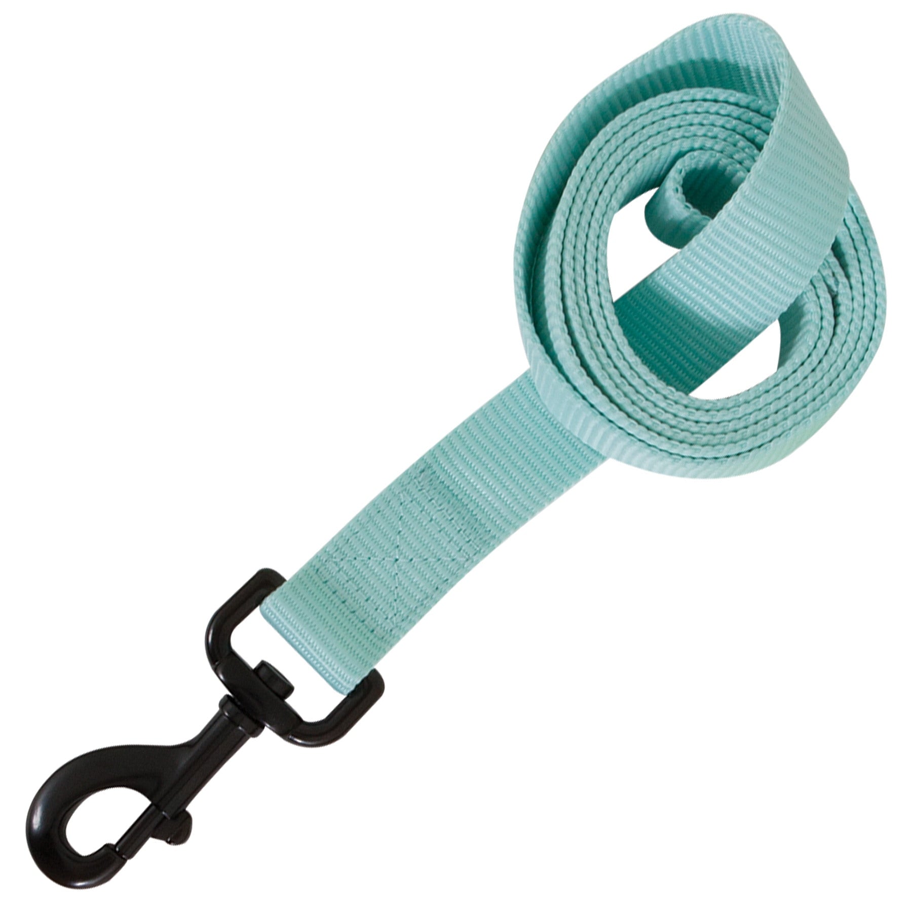 The Aspen Pet Glow In The Dark Leash, by Aspen Pet, is a coiled turquoise leash made from durable webbing for enhanced visibility, featuring a black metal clasp against a white background.