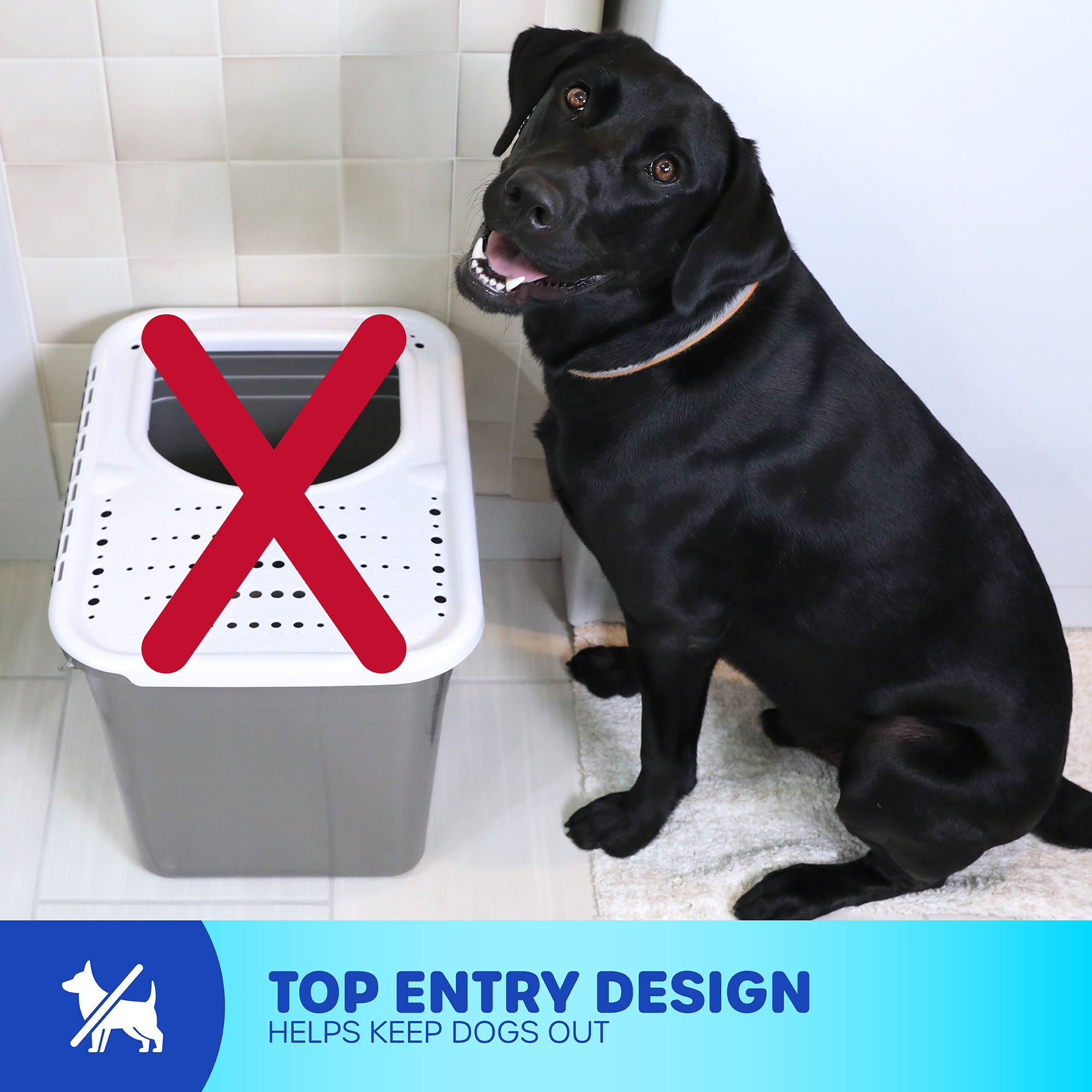 A black dog sits beside the Pet-mates Top Entry Litter Box in the bathroom, its non-slip textured lid with a red X deters dogs. Text reads Top Entry Design Helps Keep Dogs Out with pet icons, highlighting it as an eco-friendly option for pet owners.