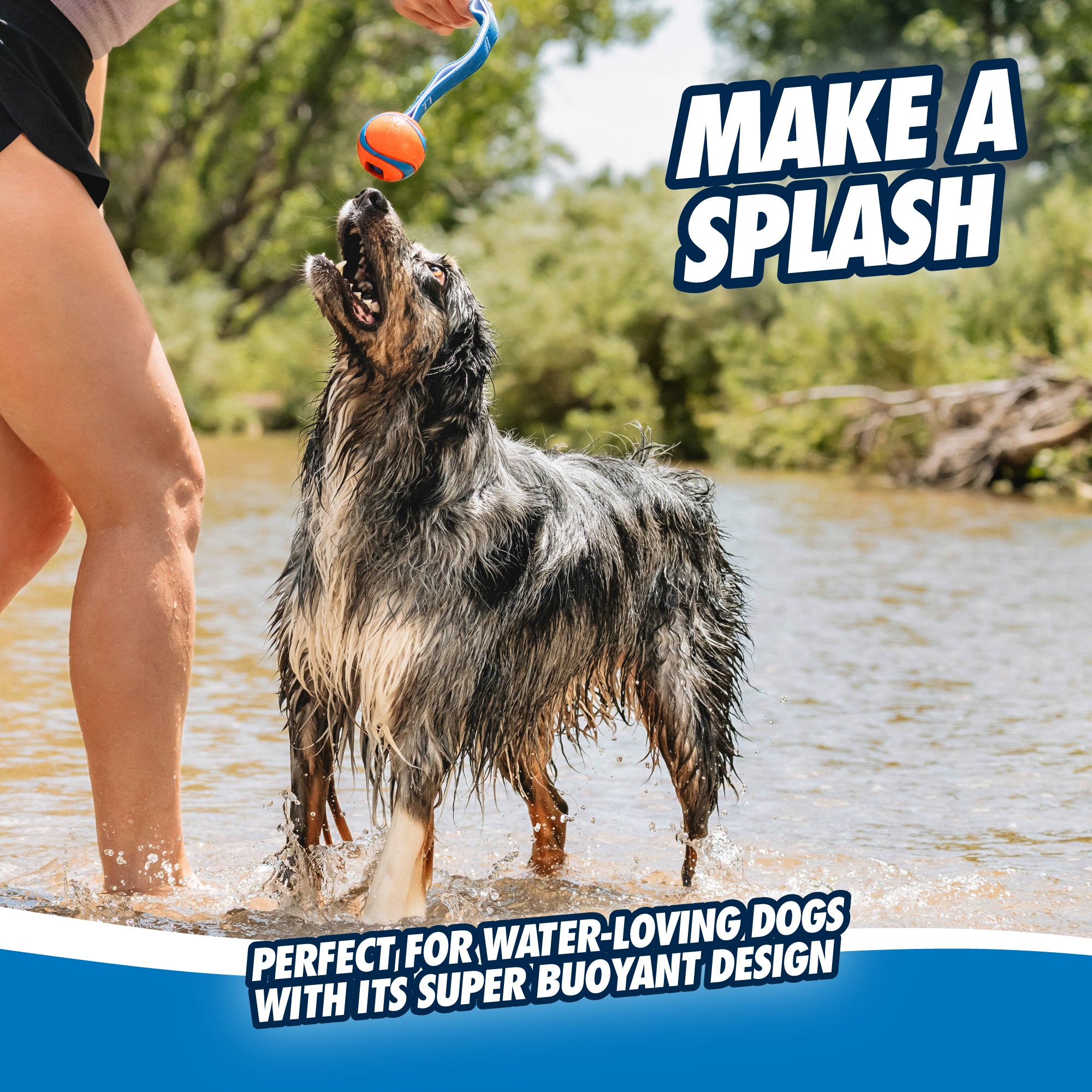 A wet, long-haired dog stands in shallow water as a person holds a Chuckit Ultra Tug Dog Toy by Chuckit. The captions MAKE A SPLASH and Ideal for water-loving dogs with its highly buoyant, durable rubber ball are displayed, with trees and greenery visible in the background.