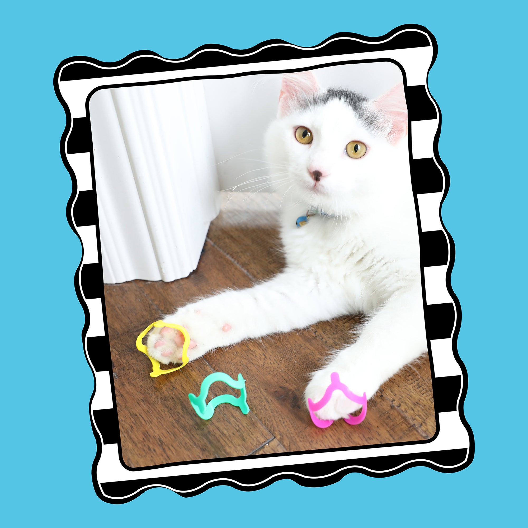 A white cat with black head spots lies on a wooden floor, playfully batting at Fatcats FAT CAT Cat Crazies Cat Toys. The image has a black and white wavy border set against a blue background.