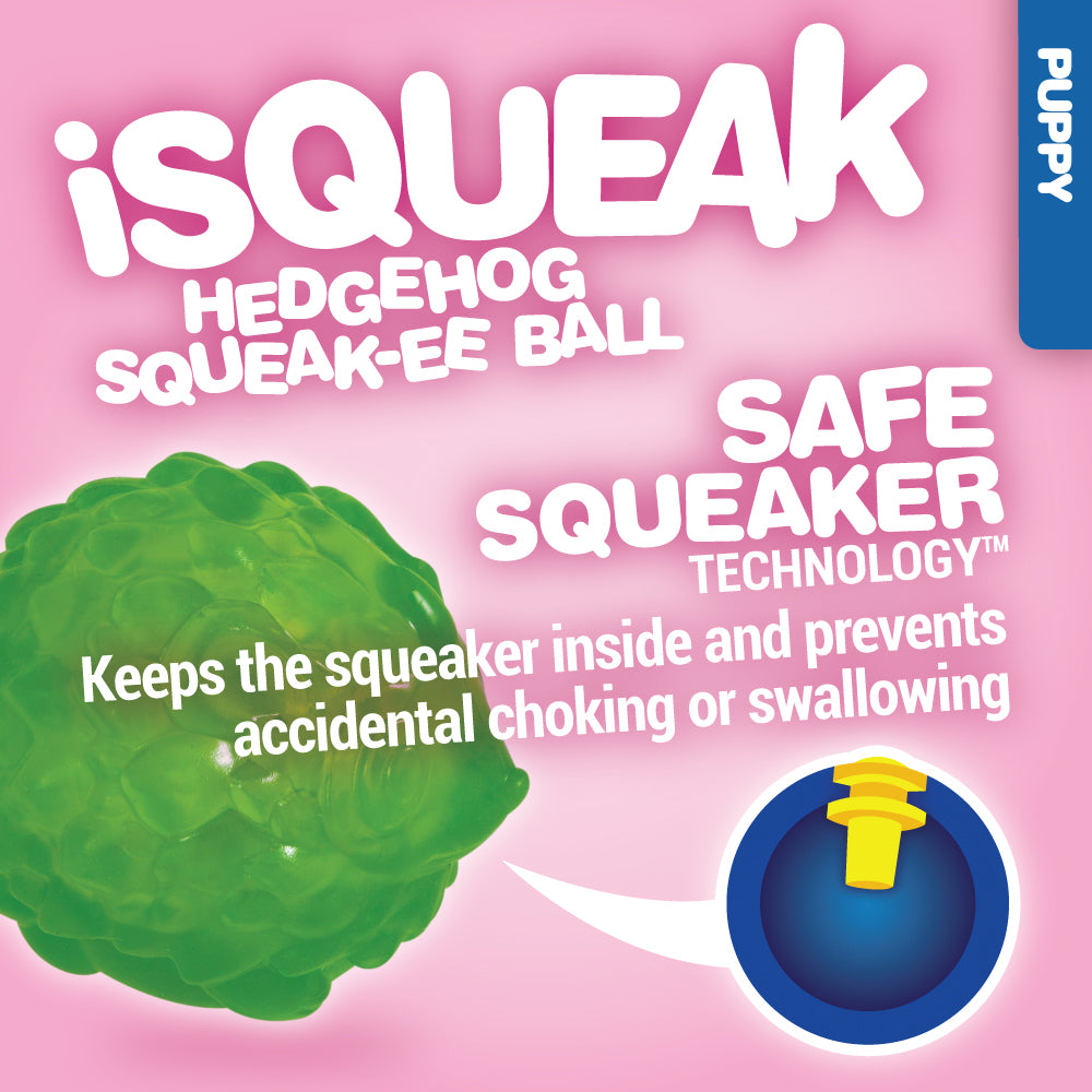 The JW Hedgehog Squeaky Ball Dog Toy packaging shows a durable rubber, green ball with Safe-Squeaker Technology to prevent choking. Designed for small dogs, the package features a pink background and blue sidebar labeled Puppy.