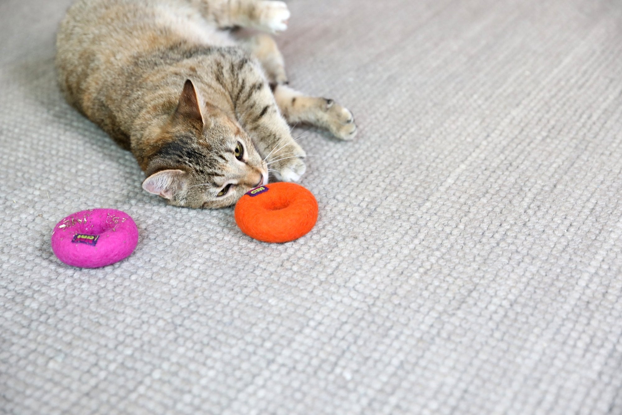 A tabby cat lounges on a textured gray carpet, eyeing two Mad Cat Wacky Wool Rings plush toy donuts infused with catnip and silvervine. One donut is pink, the other orange, crafted from natural wool for delightful playtime.