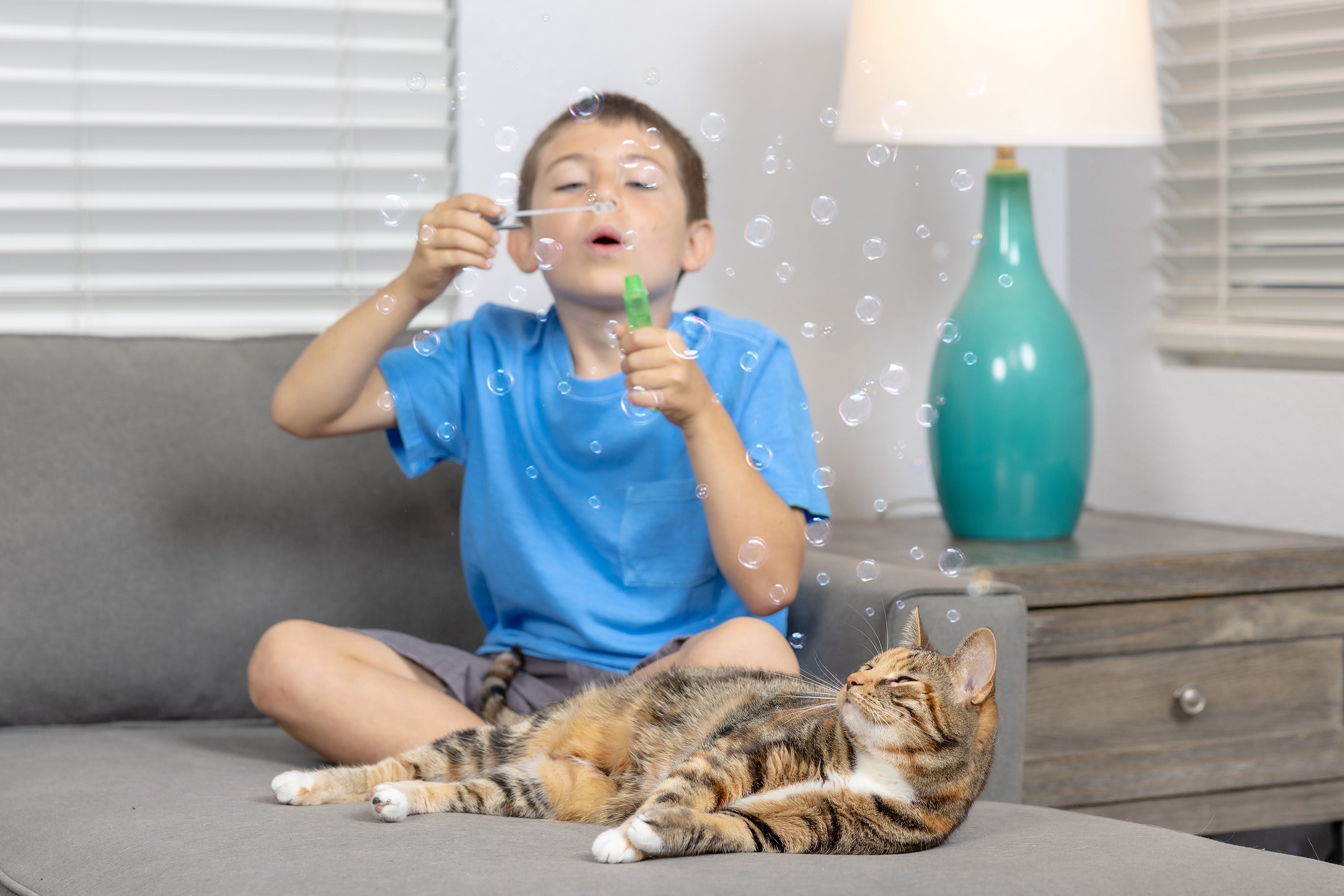 A boy in a blue shirt sits on a gray couch blowing Petqwerks Catnip IncrediBubbles as a tabby cat relaxes next to him, intrigued by the bubbles. A lamp with a teal base is on a wooden table in the background, capturing this playful Petqwerks scene.