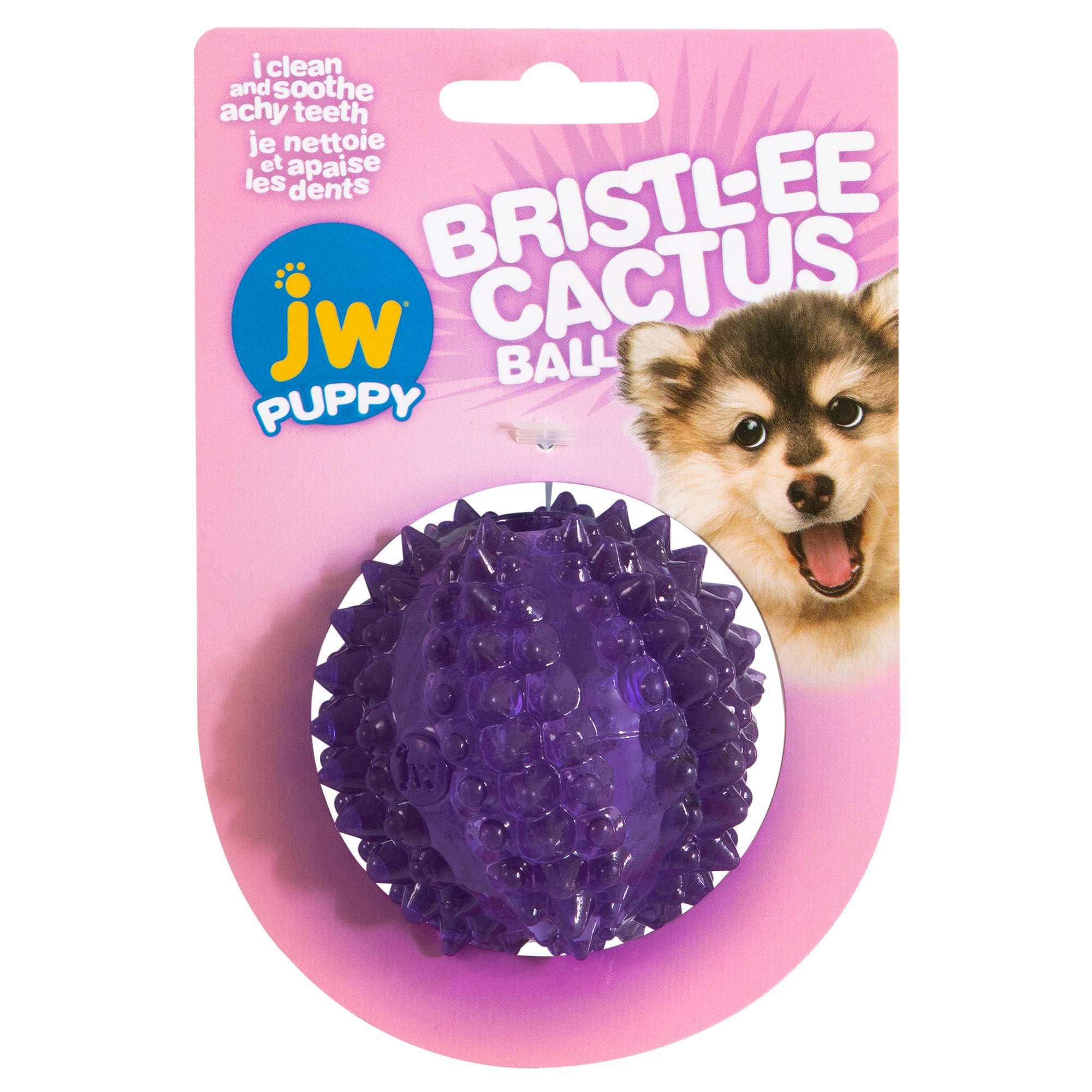 The JW Bristl-ee Cactus Ball Puppy Toy by JW features vibrant pink packaging adorned with a small dogs face on the right. This spiky purple teething ball cleans and soothes puppies teeth, with text in English and French.