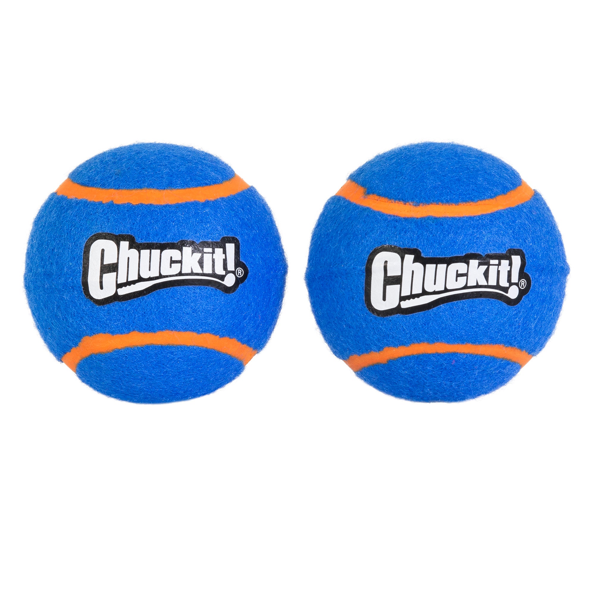 The Chuckit! Squeaker Tennis Ball 2 Pack features two blue, round, fuzzy tennis balls with orange stripes and the Chuckit logo. Perfect for fetch, these toys squeak when bitten and promise endless fun. Photographed side by side on a white background.