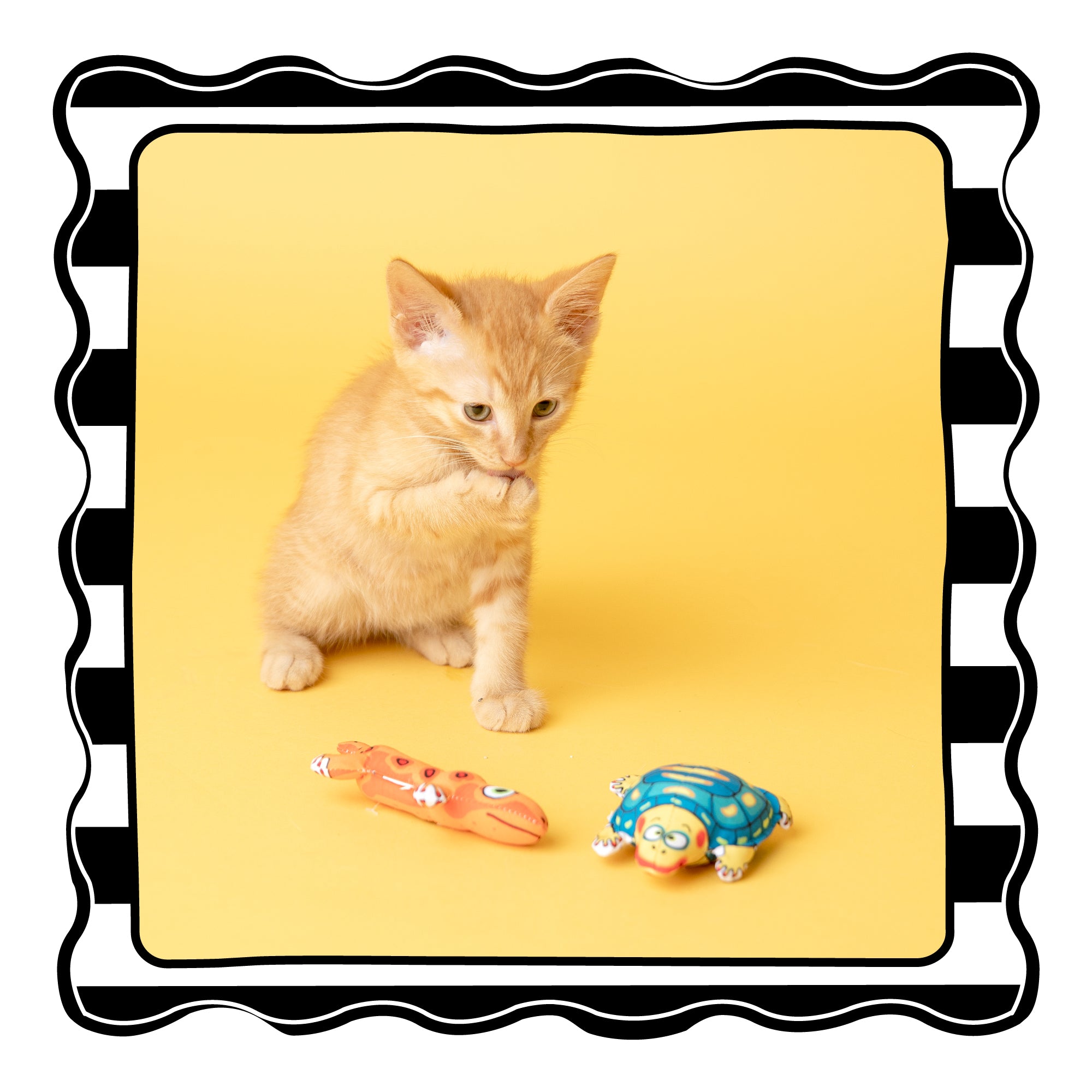 An orange kitten plays on a yellow background with two FAT CAT Classic Crackler Cat Toys from Fatcat: an orange alligator and a blue turtle. A black and white striped border frames the cheerful scene.