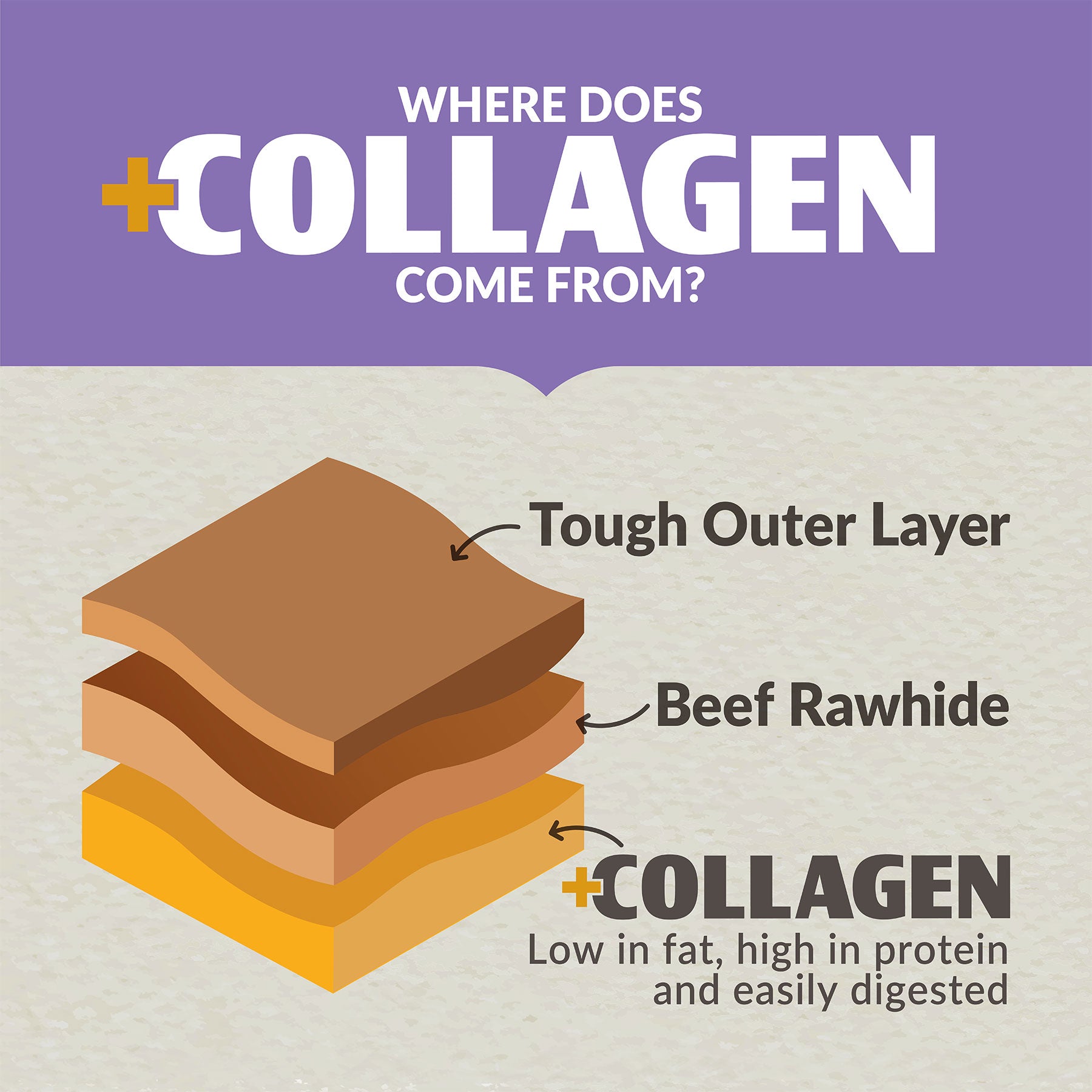 An illustration titled Where Does Collagen Come From? shows three stacked layers: a tough outer layer, beef rawhide in the middle, and collagen at the bottom. Wild Eats Collagen + Duck Treats are labeled as low in fat, high in protein, and easily digested for a healthy coat.
