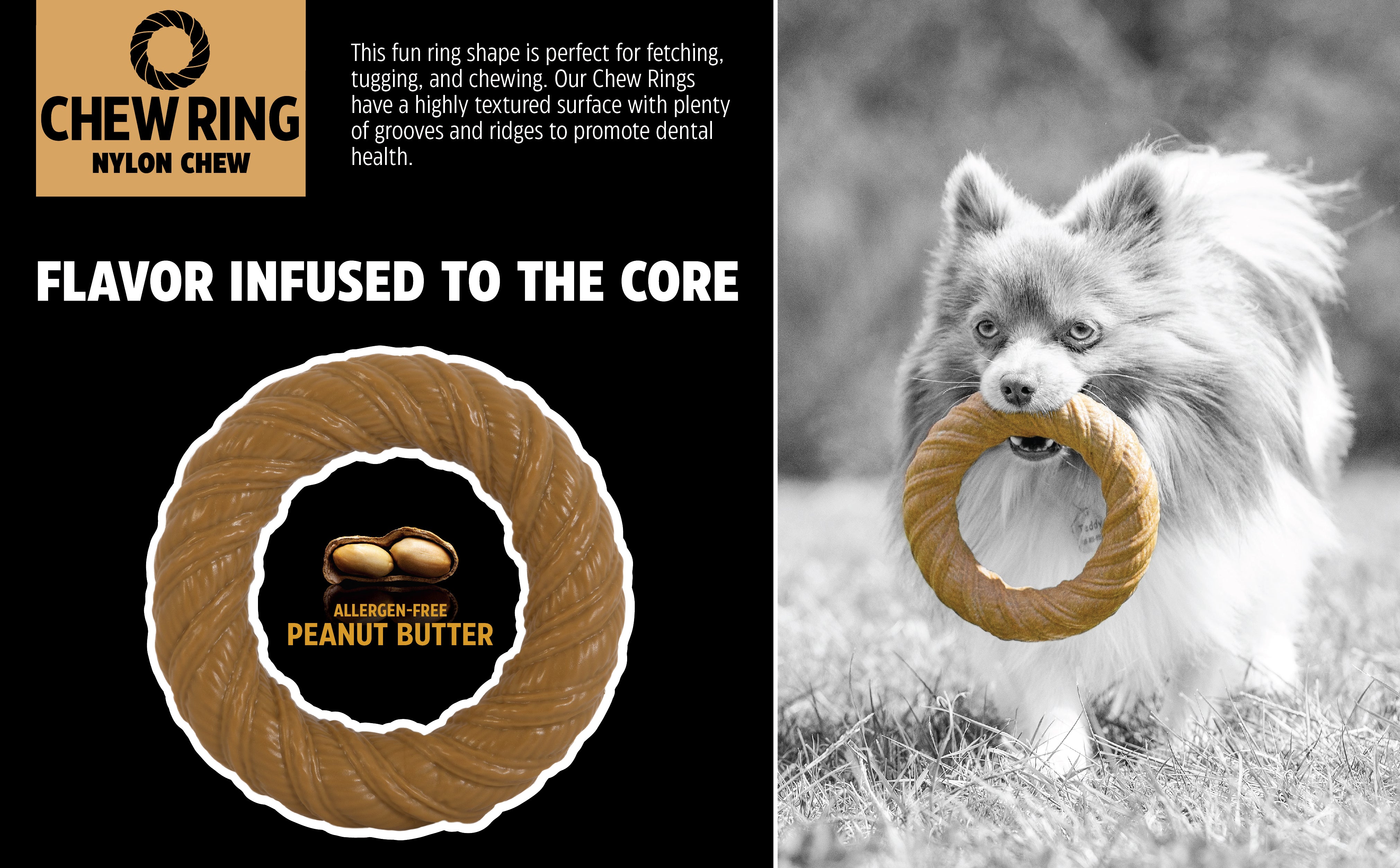 A fluffy dog holds a BarkBone Natural Instinct Peanut Butter Infused Nylon Chew Ring in its mouth. The allergen-free chew, perfect for tough chewers, is durable, textured, and playful.