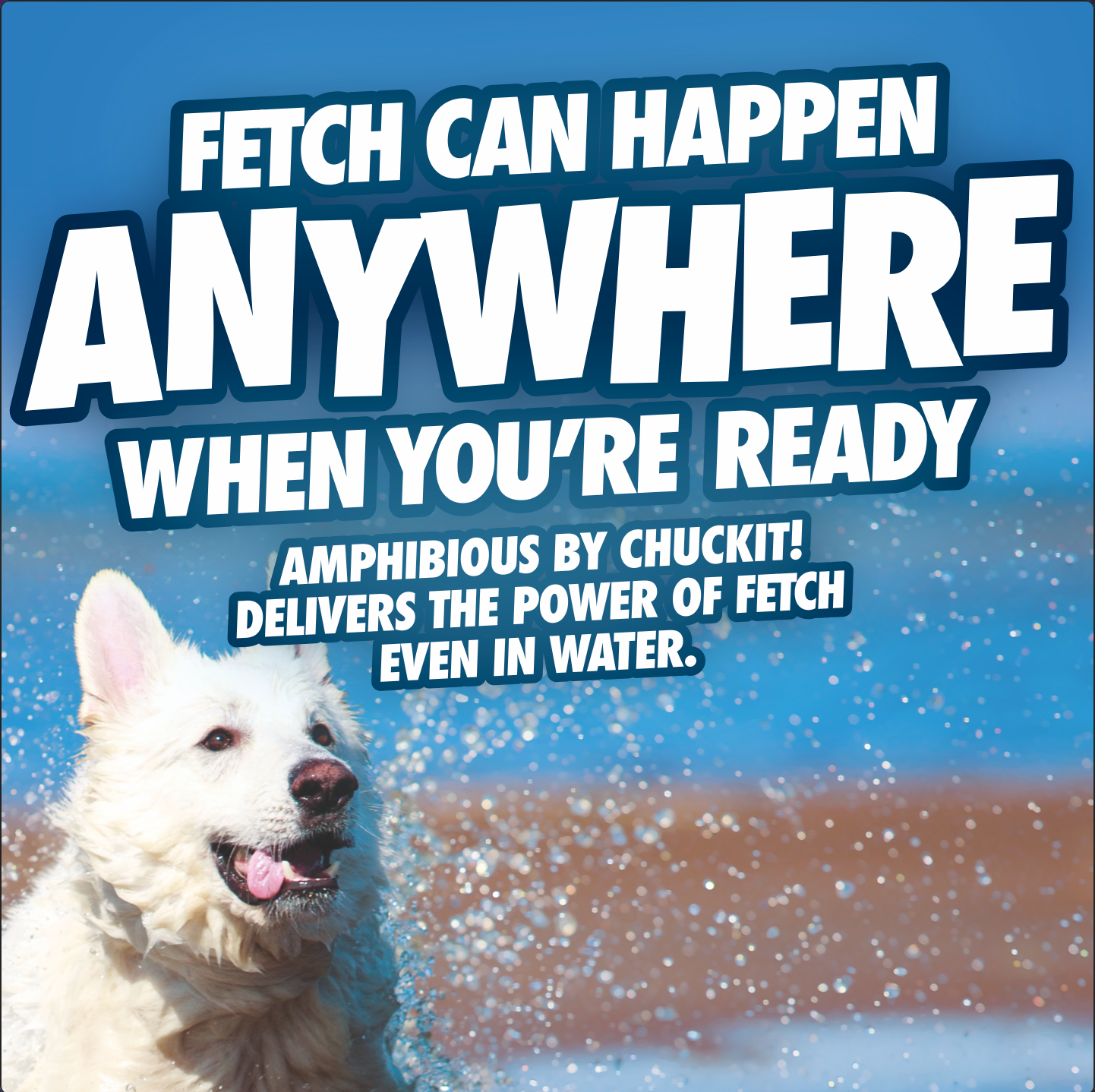 A wet white dog in the water with text above: Fetch can happen anywhere when you’re ready. Chuckit! Amphibious Boomerang delivers fetch power even in water thanks to its unsinkable design.