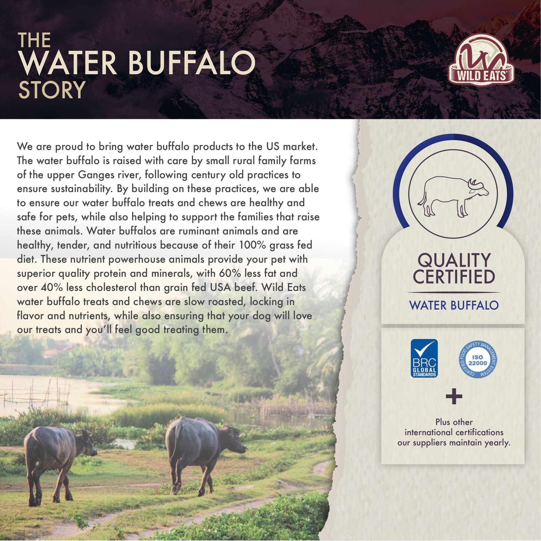 The Wild Eats Bully Wrap Dog Chew poster depicts a herd in a grassy field with mountains, highlighting the nutrient-rich and gluten-free nature of the product from Wild Eats, emphasizing nutrition, sustainability, and dental health benefits.
