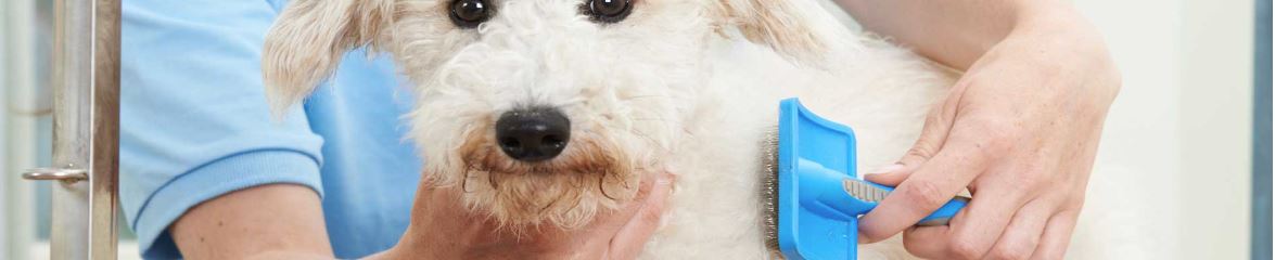 Grooming Banner