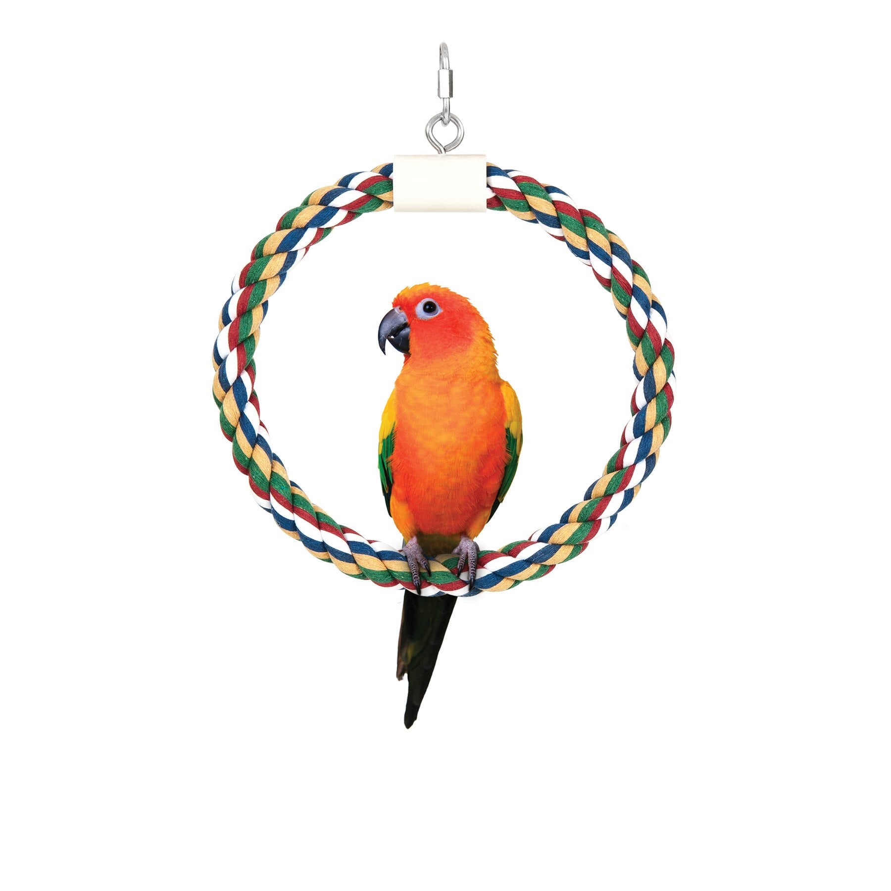A vibrant parrot with orange, yellow, and green feathers sits on the JW Swing N Perch Bird Toy by Jw, hanging from a hook. The colorful circular perch features intertwined red, green, blue, and beige strands and is machine washable for easy cleaning.