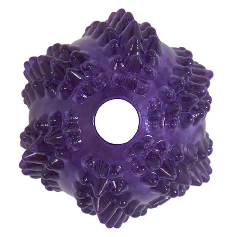 The JW Bristl-ee Cactus Ball Puppy Toy by Jw, a purple donut-shaped rubber toy, features textured spikes and a central hole, ideal for chewing and play. Perfect as a teething ball for small dogs.