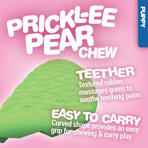 The image showcases a promotional graphic for the JW Puppy Teeth-ee Set, a teething toy by Jw, shaped like a green prickly pear. Made from non-toxic rubber, it has textured surfaces for gum massage and an easy-grip curved design, all set against a playful pink background.