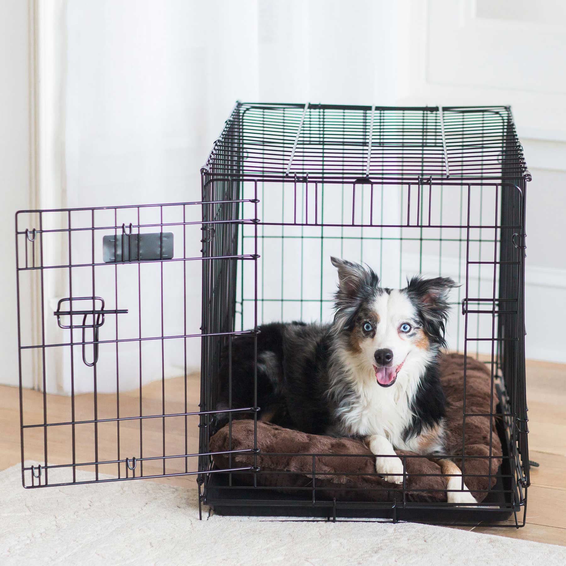 A small to medium-sized dog with a black and white coat and blue eyes sits comfortably inside an open, black wire crate on a SnooZZy Cozy Comforter Kennel Mat - Brown. Light walls and hardwood flooring provide a serene backdrop as the cozy pooch pants slightly in comfort.