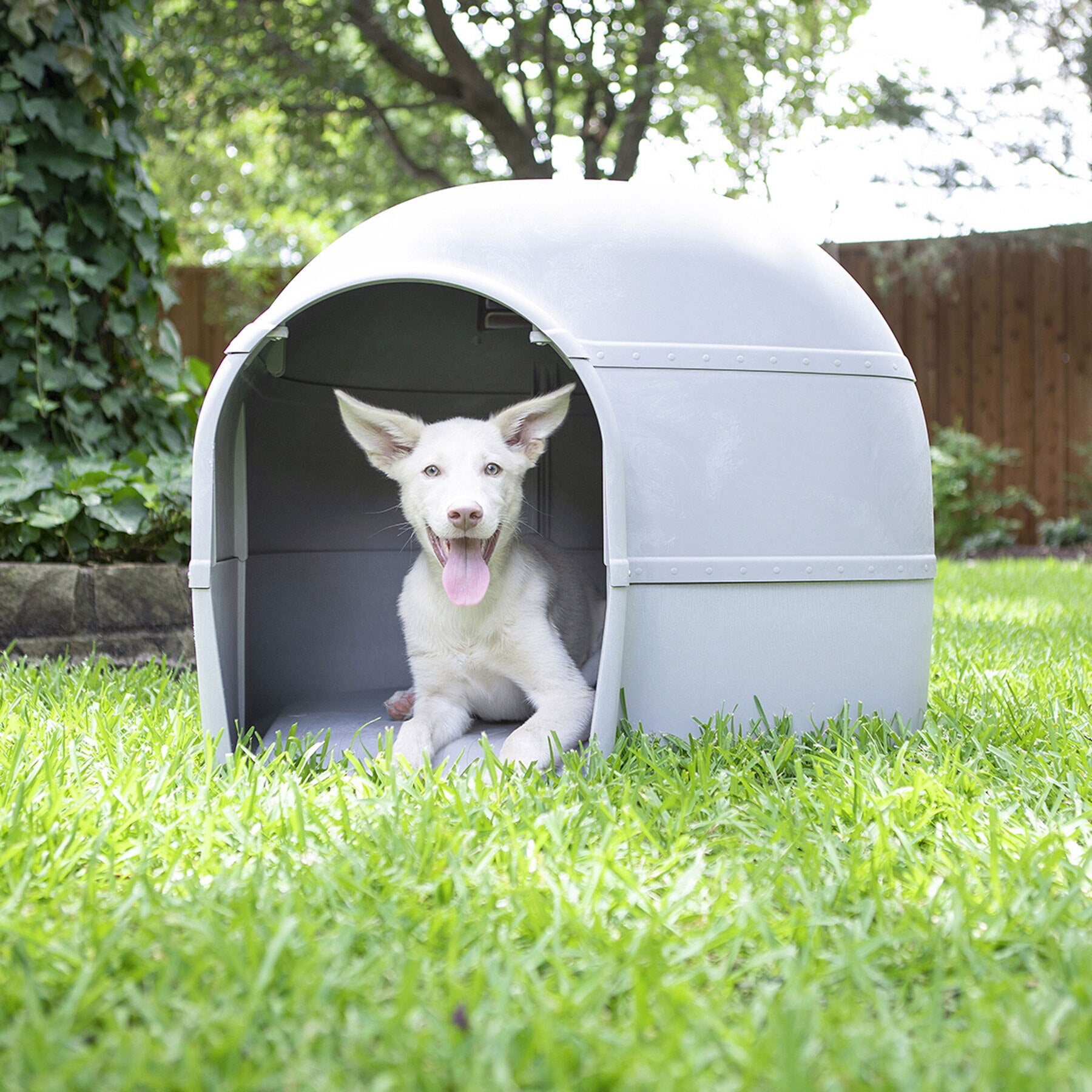 A cheerful white dog with perky ears sits happily inside its igloo-shaped Pet-mates Husky Dog House by Pet-mates on a green lawn, tongue playfully out, enjoying the shelters comfort amidst trees and a wooden fence.