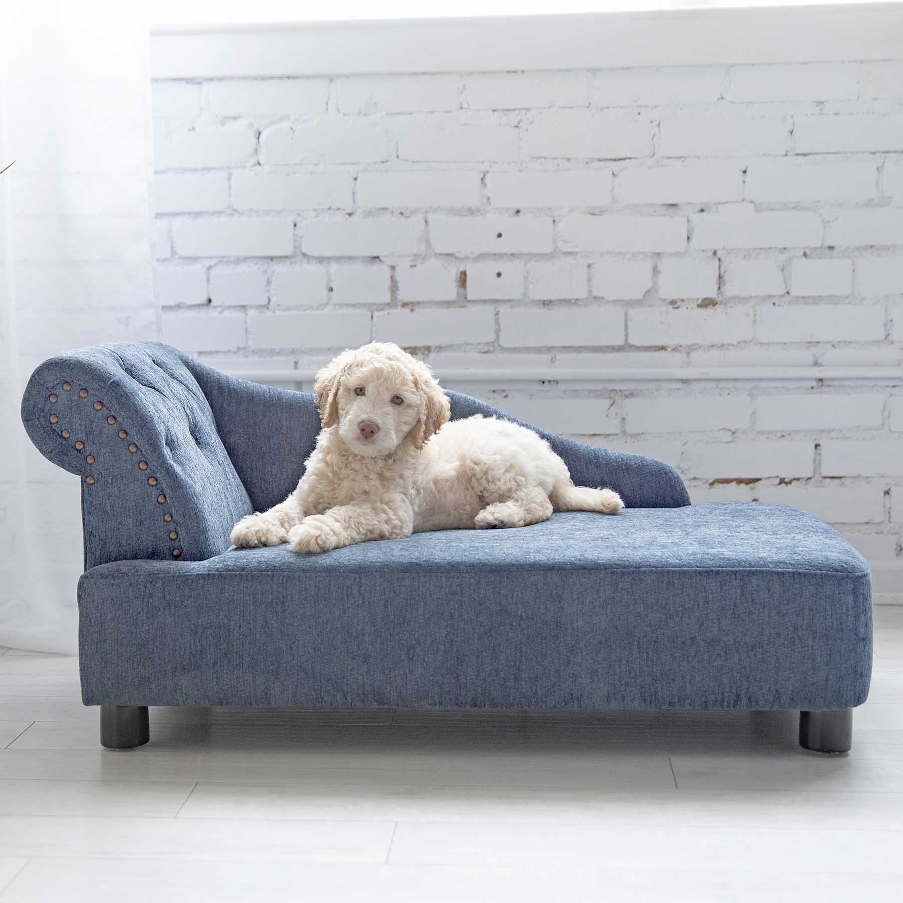A fluffy white dog, likely a large breed, is lounging on a La-Z-Boy Solana Chaise Sofa Pet Bed in blue against a white brick wall.