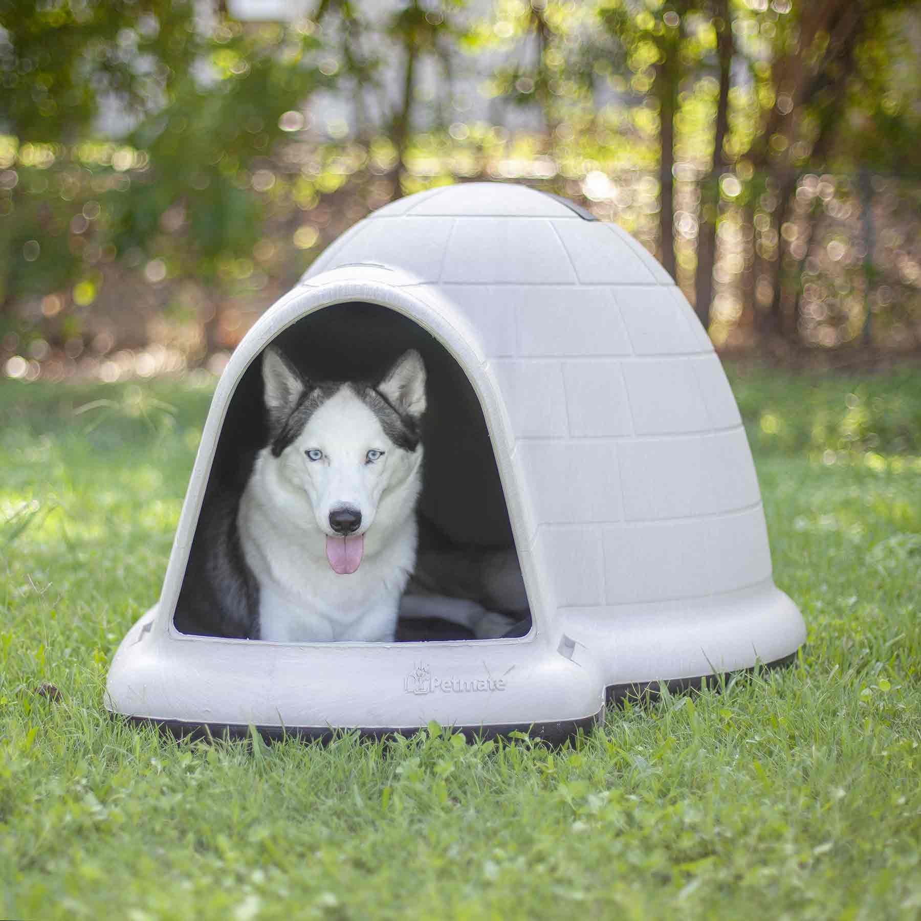 A black and white husky relaxes with its tongue out inside a Pet-mates Indigo Dog House on a grassy lawn, while trees softly blur in the background.