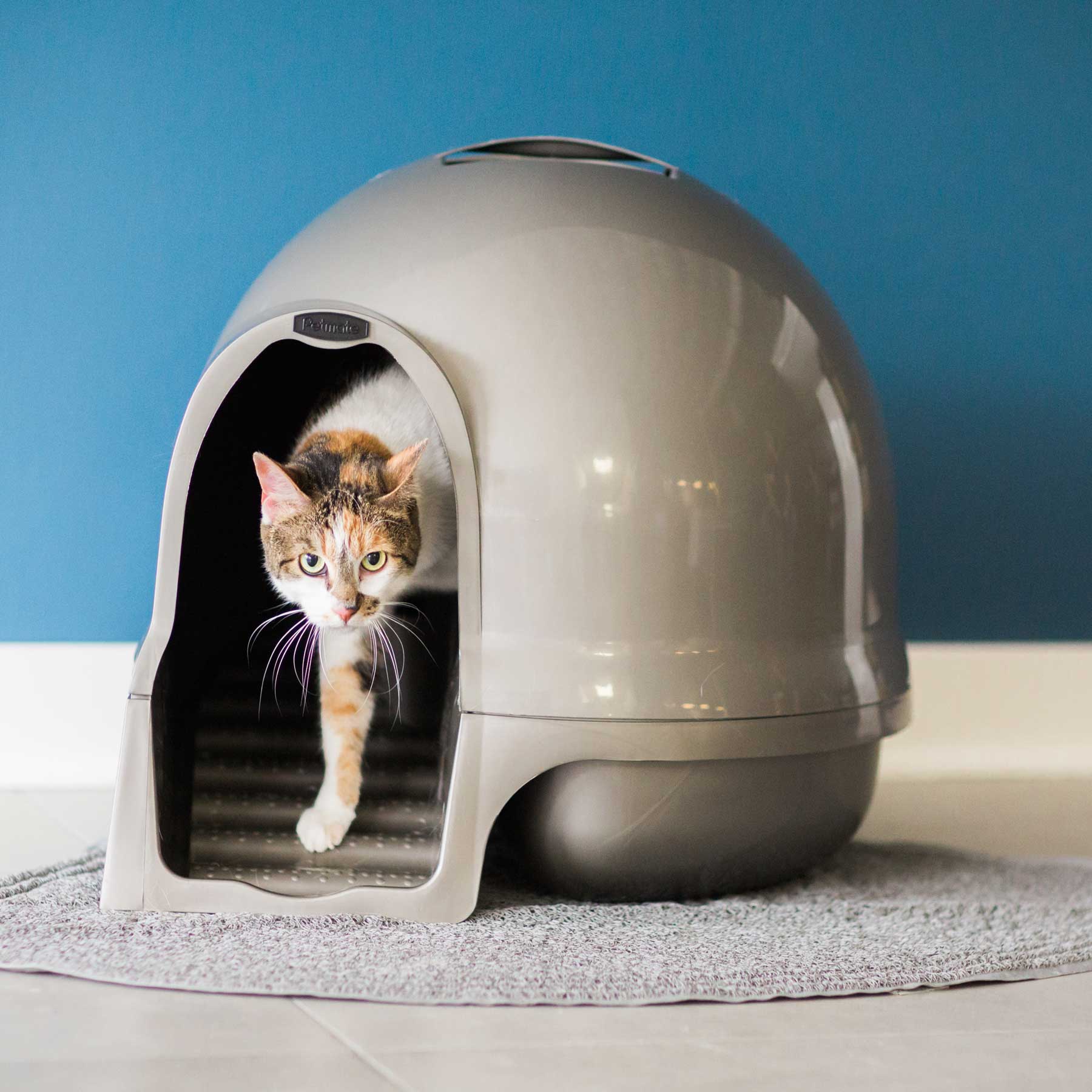 A cat exits a Pet-mates Booda Cleanstep Litter Dome for Cats, featuring an enclosed dome design with a charcoal filter, onto a rug. The blue wall and tiled floor provide a tranquil backdrop.