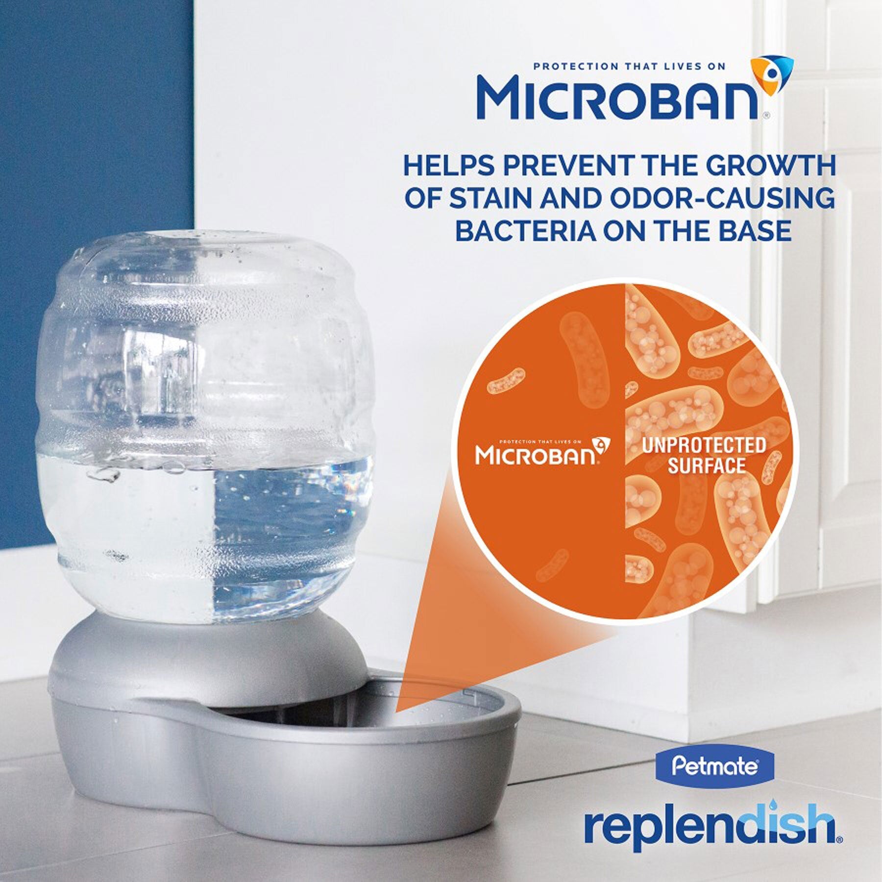 The Pet-mates Replendish Pet Waterer with Microban by Pet-mates features antimicrobial protection to combat bacteria, highlighting the effectiveness of treated versus untreated surfaces and keeping your pets water fresh.
